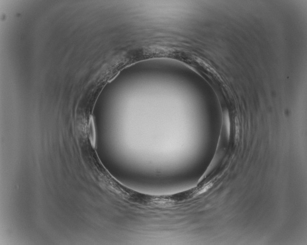 X0000067360617200604031000