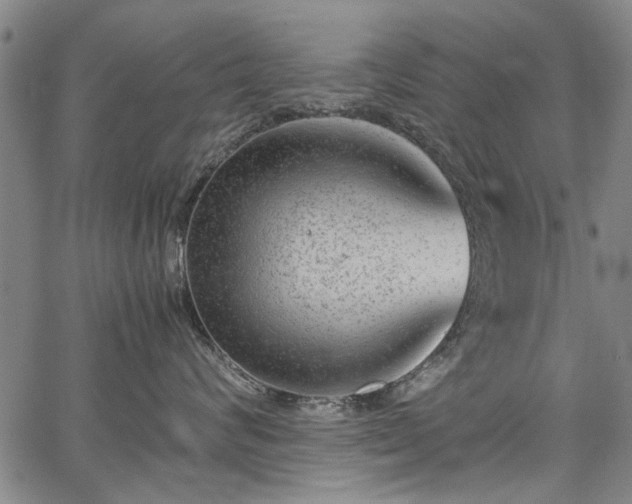 X0000067360624200604031000
