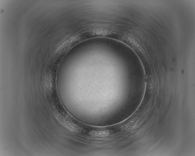 X0000067360639200604031000