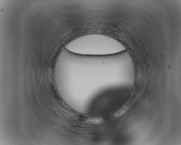 X0000067360659200604031000