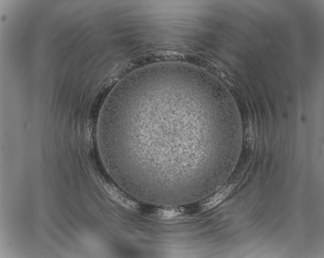 X0000067360662200604031000