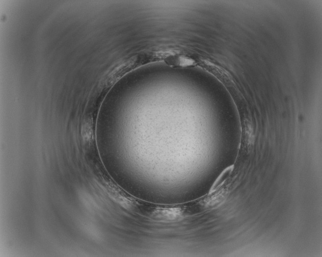 X0000067360665200604031000