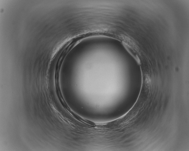 X0000067360676200604030959