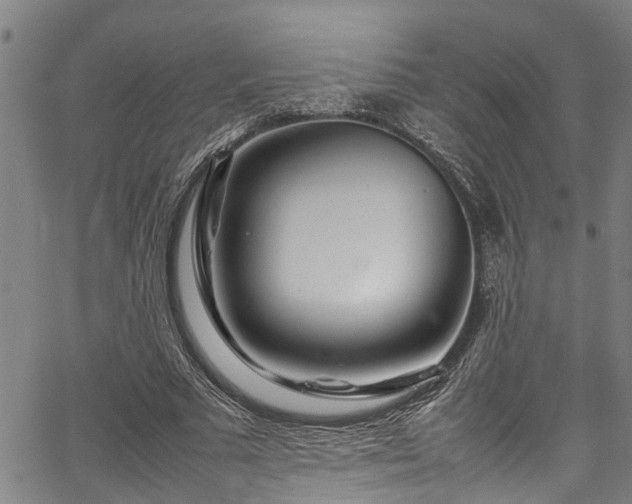 X0000067360681200604030959