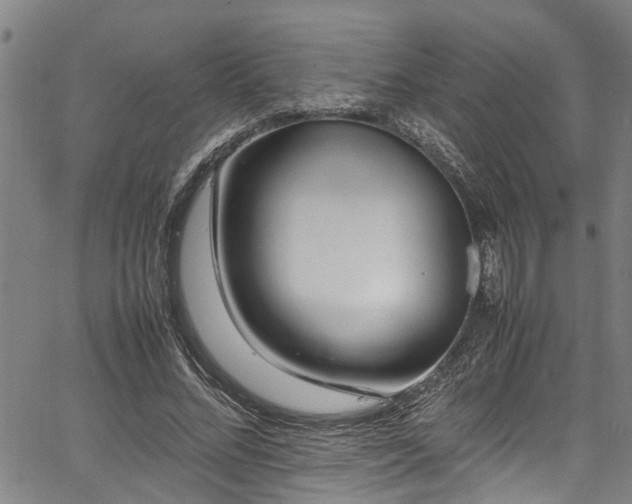 X0000067360684200604030959