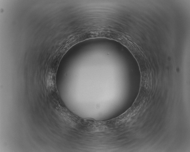 X0000067360770200604030958