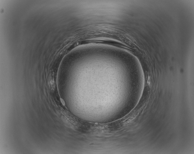 X0000067360771200604030958