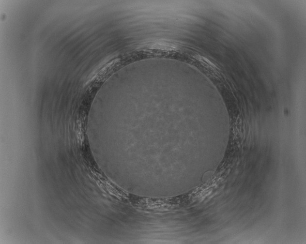 X0000067360774200604030958