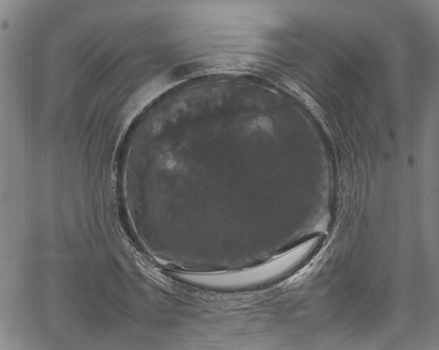 X0000067360779200604030958