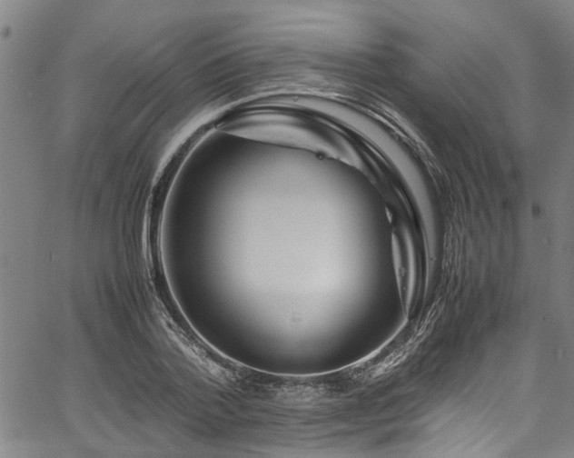 X0000067360788200604030958