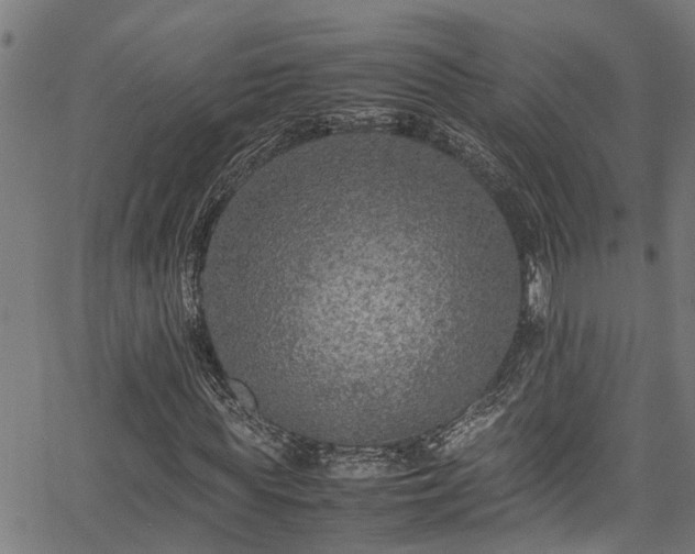 X0000067360819200604030956