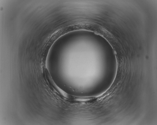 X0000067360822200604030956