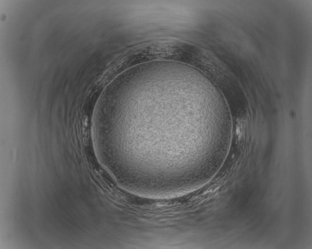 X0000067360867200604030956