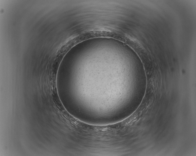 X0000067360870200604030956
