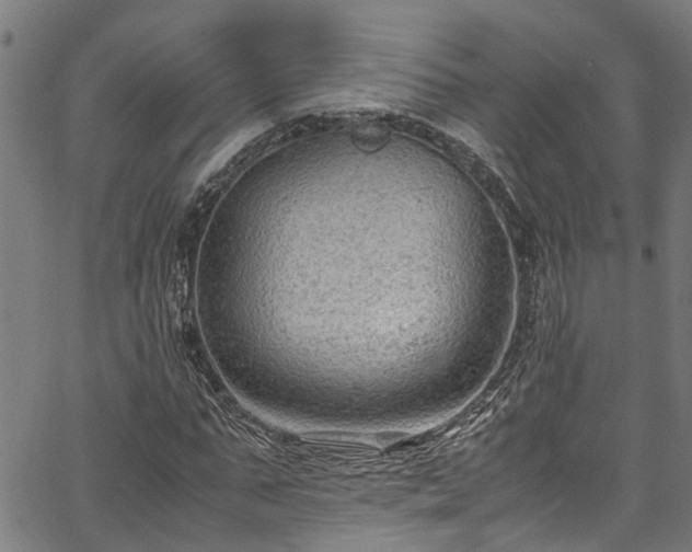 X0000067360871200604030956