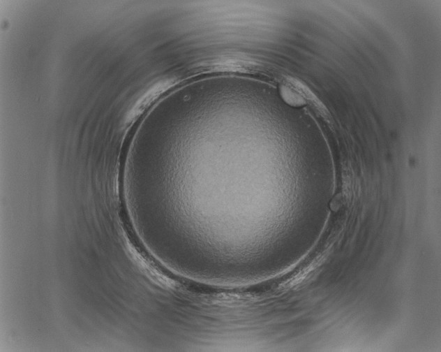 X0000067360938200604030955