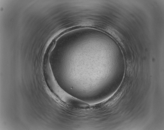 X0000067360939200604030955