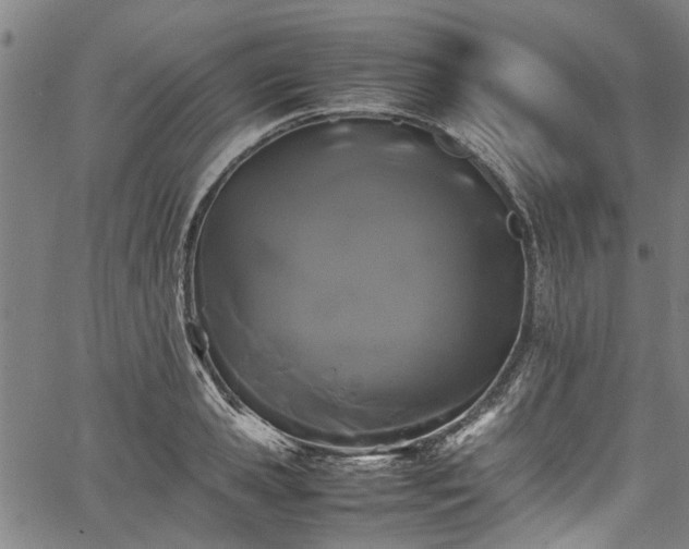 X0000067360941200604030955