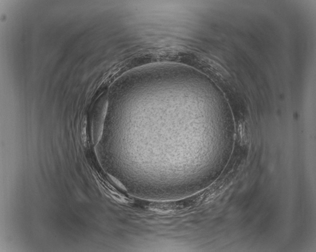 X0000067360963200604030955