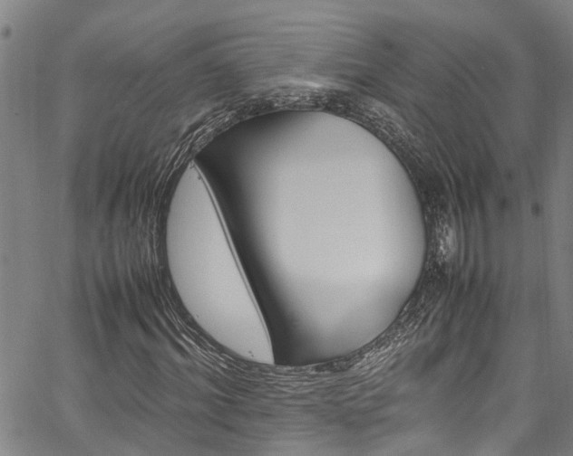 X0000067360964200604030955