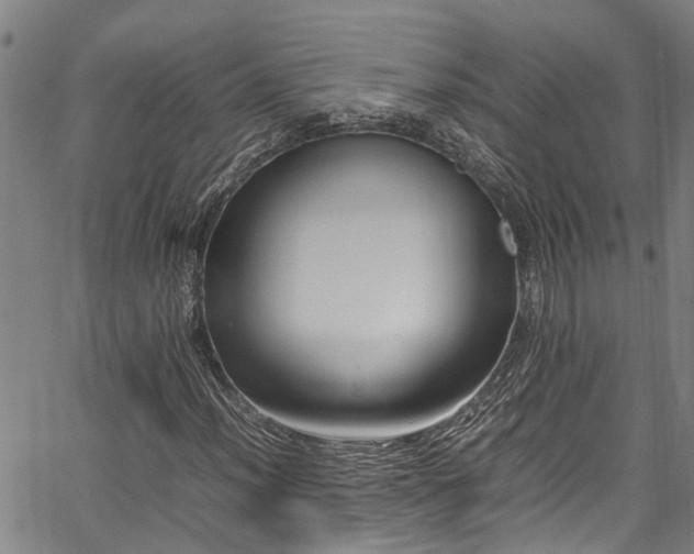X0000067361012200604030953