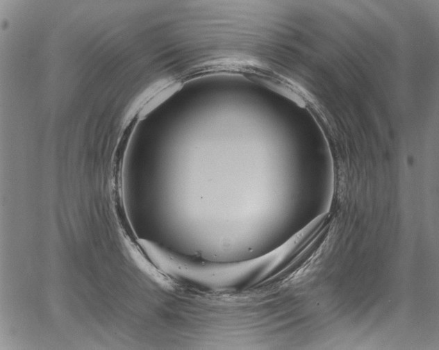 X0000067361042200604030954