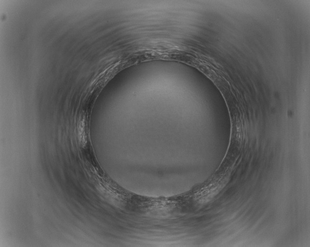 X0000067361060200604030953