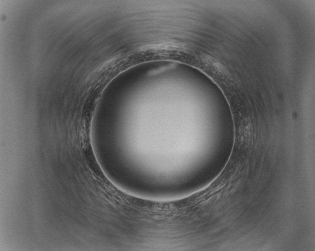 X0000067361062200604030953