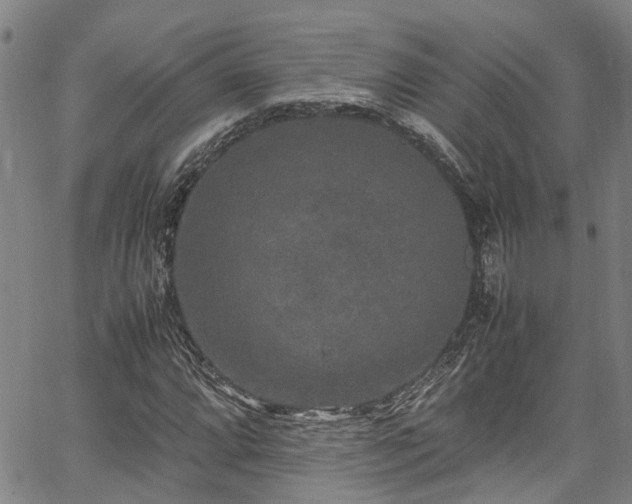 X0000067361064200604030953
