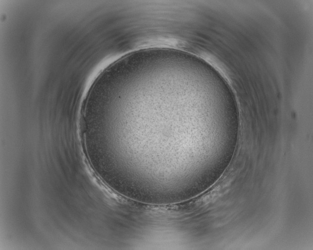 X0000067361104200604030952