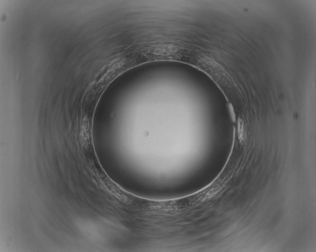 X0000067361107200604030952