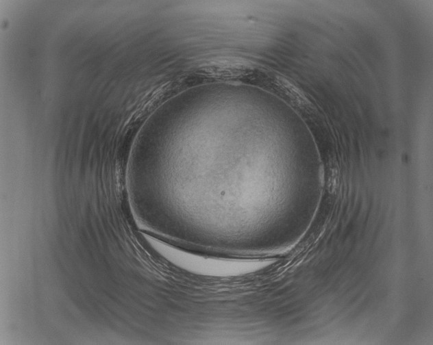 X0000067361108200604030952
