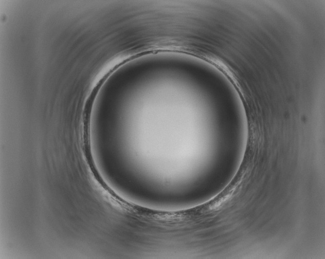X0000067361147200604030952