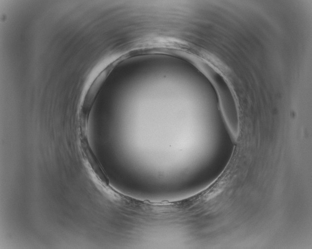 X0000067361152200604030952