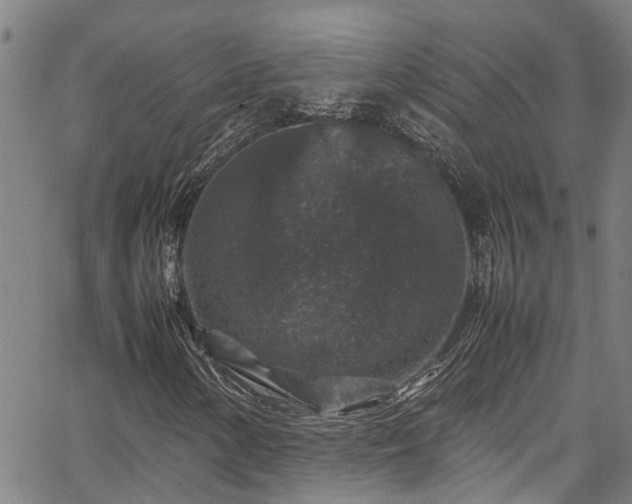 X0000067361154200604030952