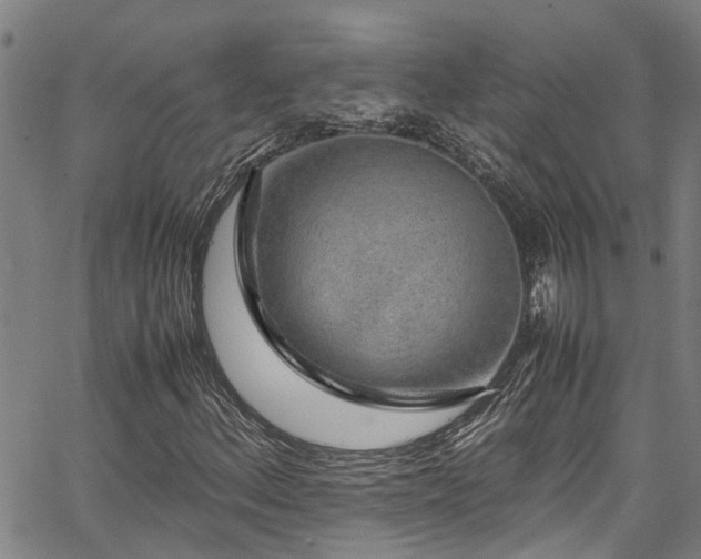 X0000067361156200604030952