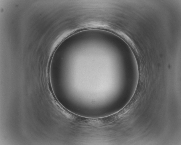 X0000067361191200604030951