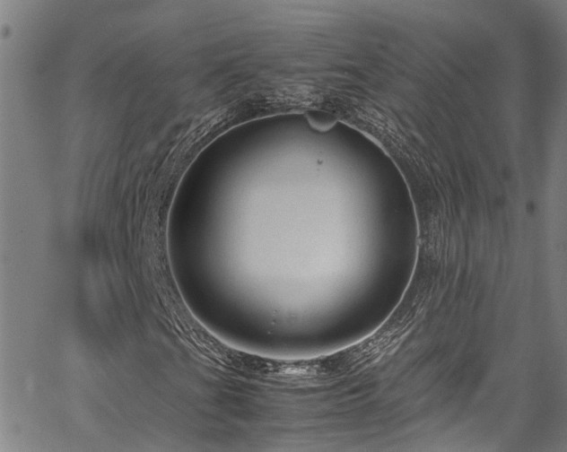 X0000067361201200604030950