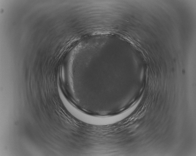 X0000067361202200604030950