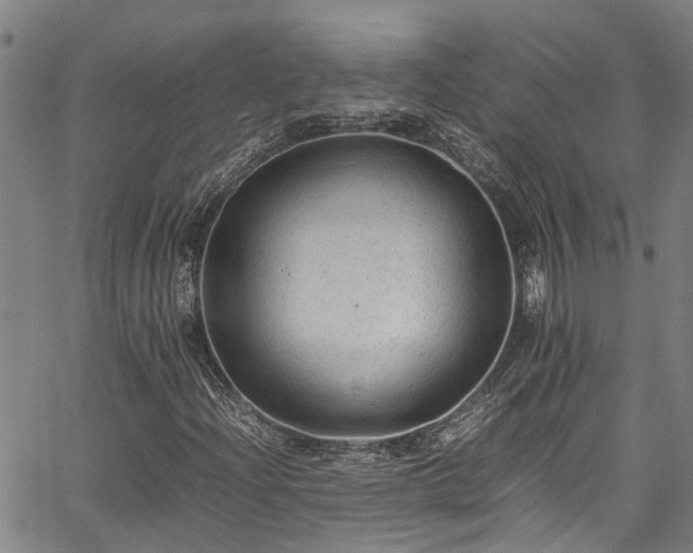 X0000067361204200604030950
