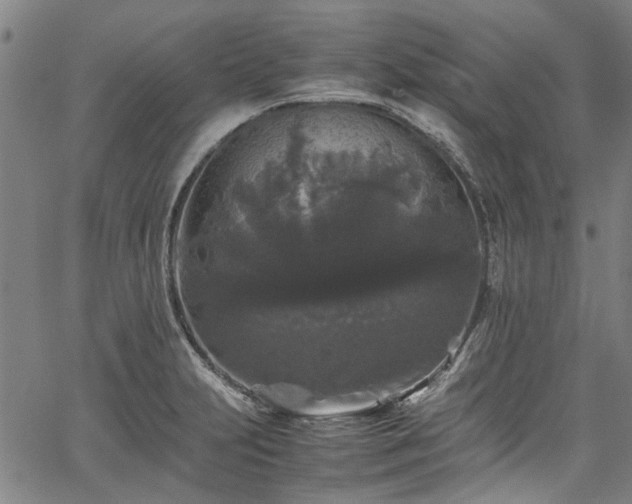 X0000067361231200604030951