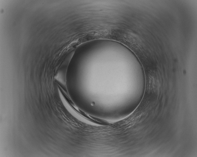 X0000067361250200604030950