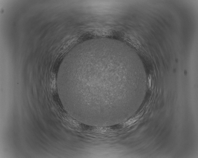 X0000067361251200604030950