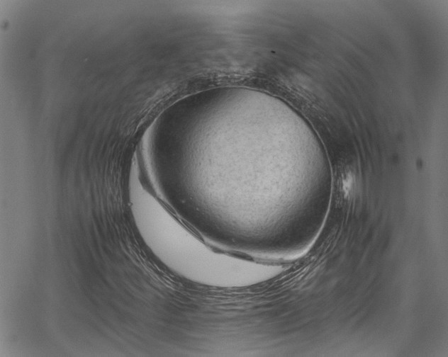 X0000067361252200604030950