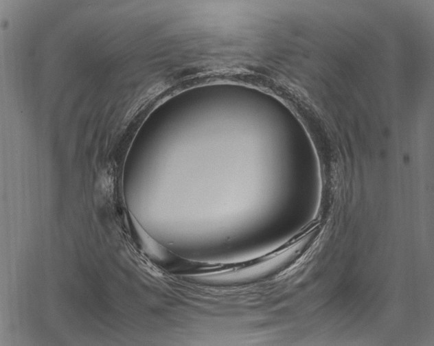 X0000067361257200604030950