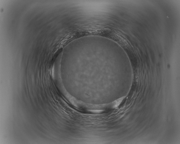 X0000067361298200604030949