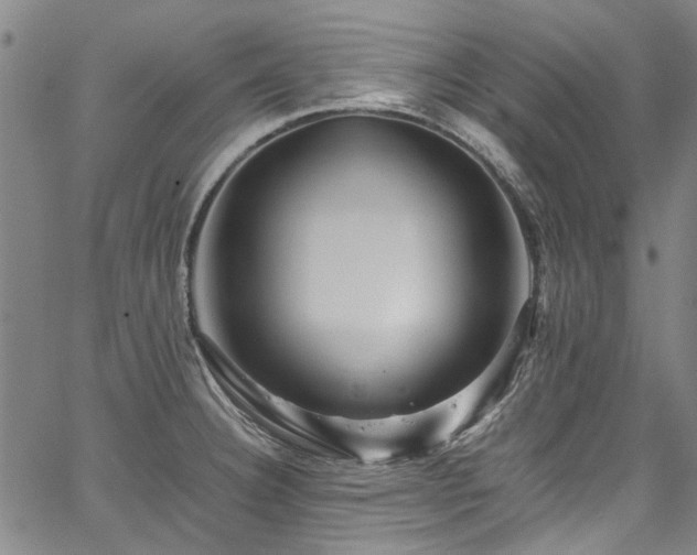X0000067361332200604030949