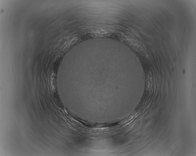 X0000067361346200604030949