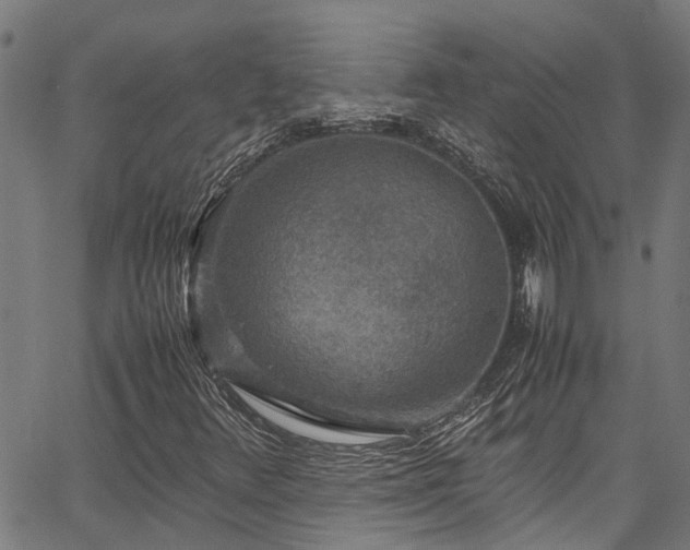 X0000067361348200604030948