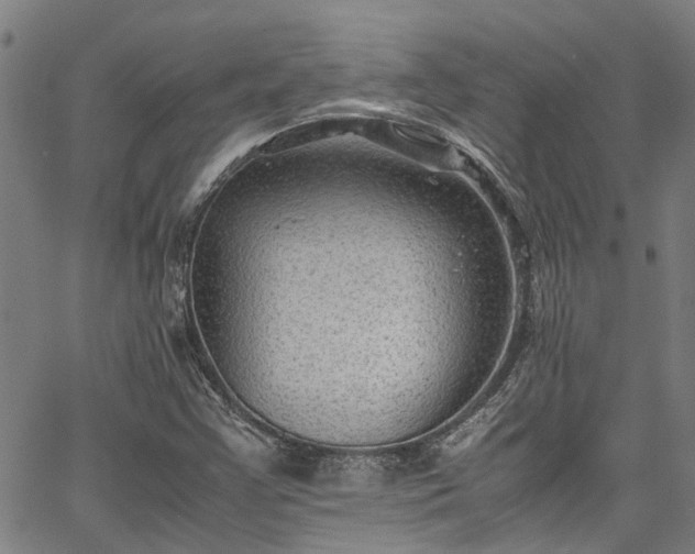 X0000067361355200604030948